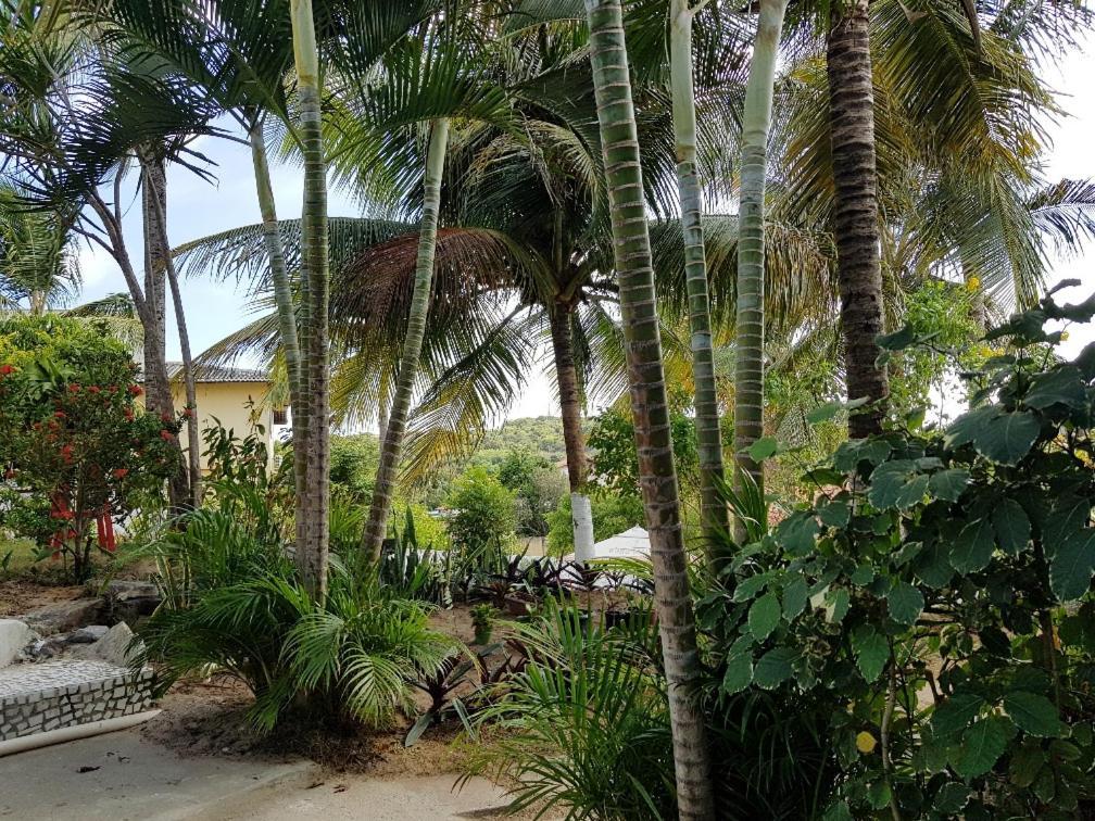 Апартаменты Casa Tua Pipa Praia de Pipa Экстерьер фото