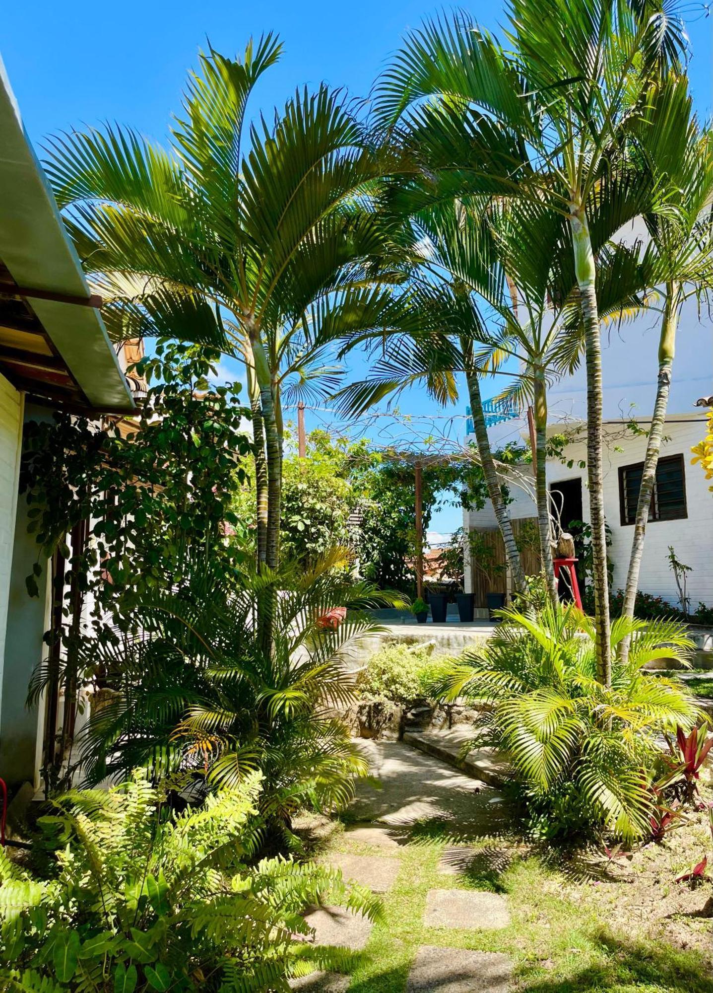 Апартаменты Casa Tua Pipa Praia de Pipa Экстерьер фото