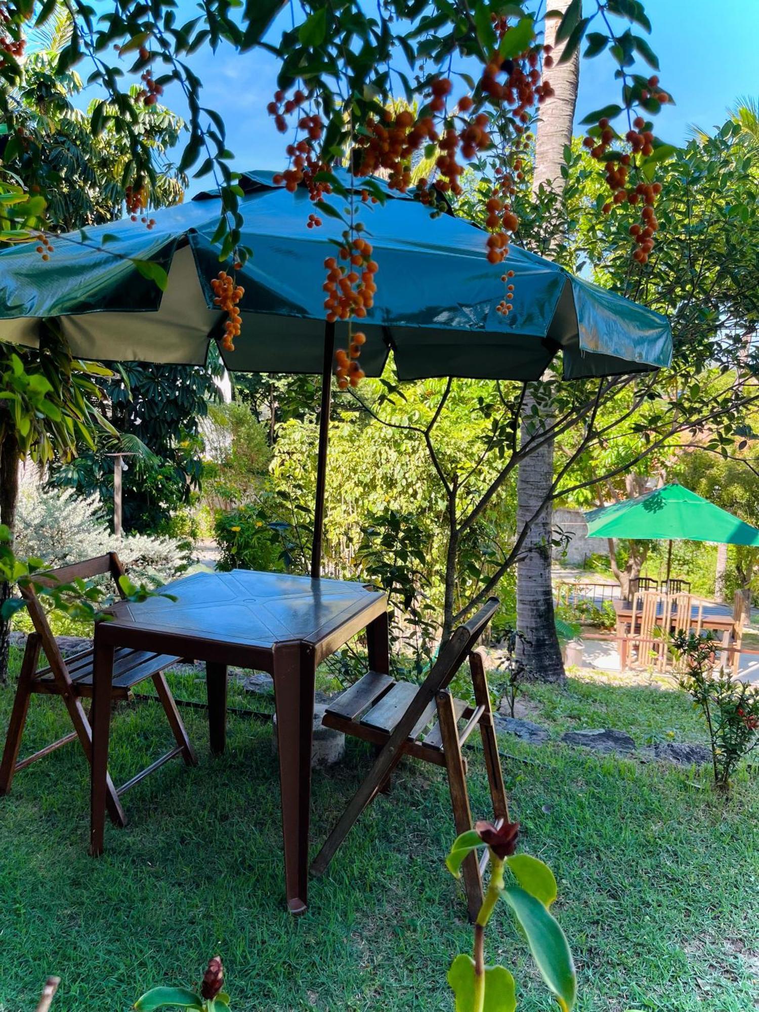 Апартаменты Casa Tua Pipa Praia de Pipa Экстерьер фото